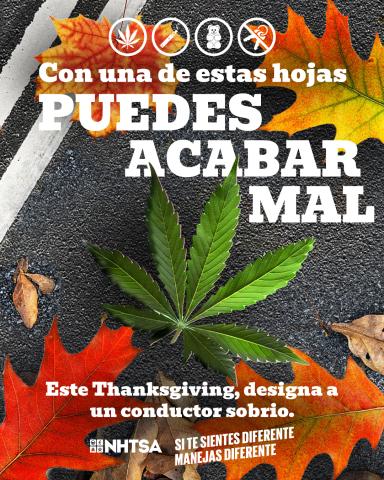 drug-social-norm-thanksgiving-leaf-graphic-1080x1350-es-2025.jpg