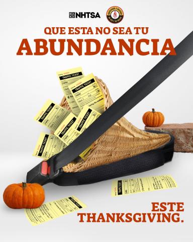 seat-belt-enforce-thanksgiving-graphic-1080x1350-es-2025.jpg